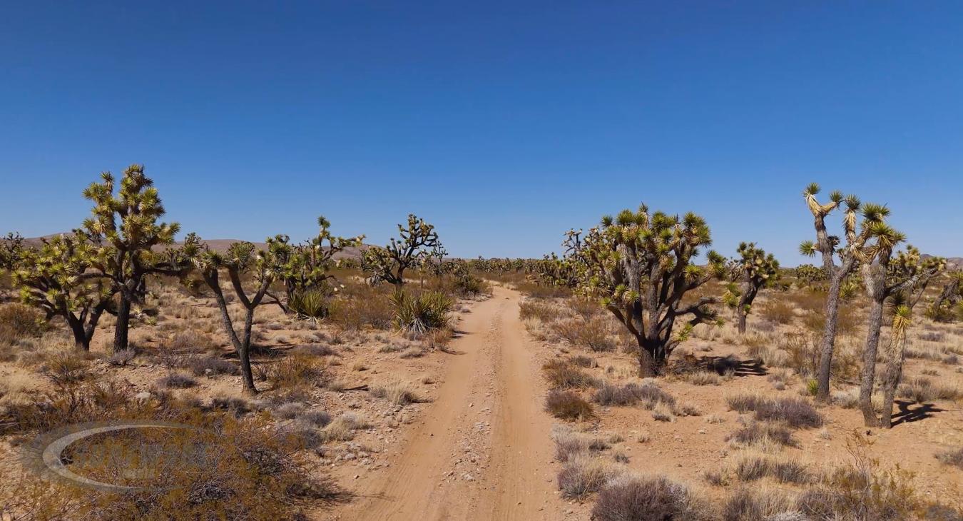 Desert Dirt Road