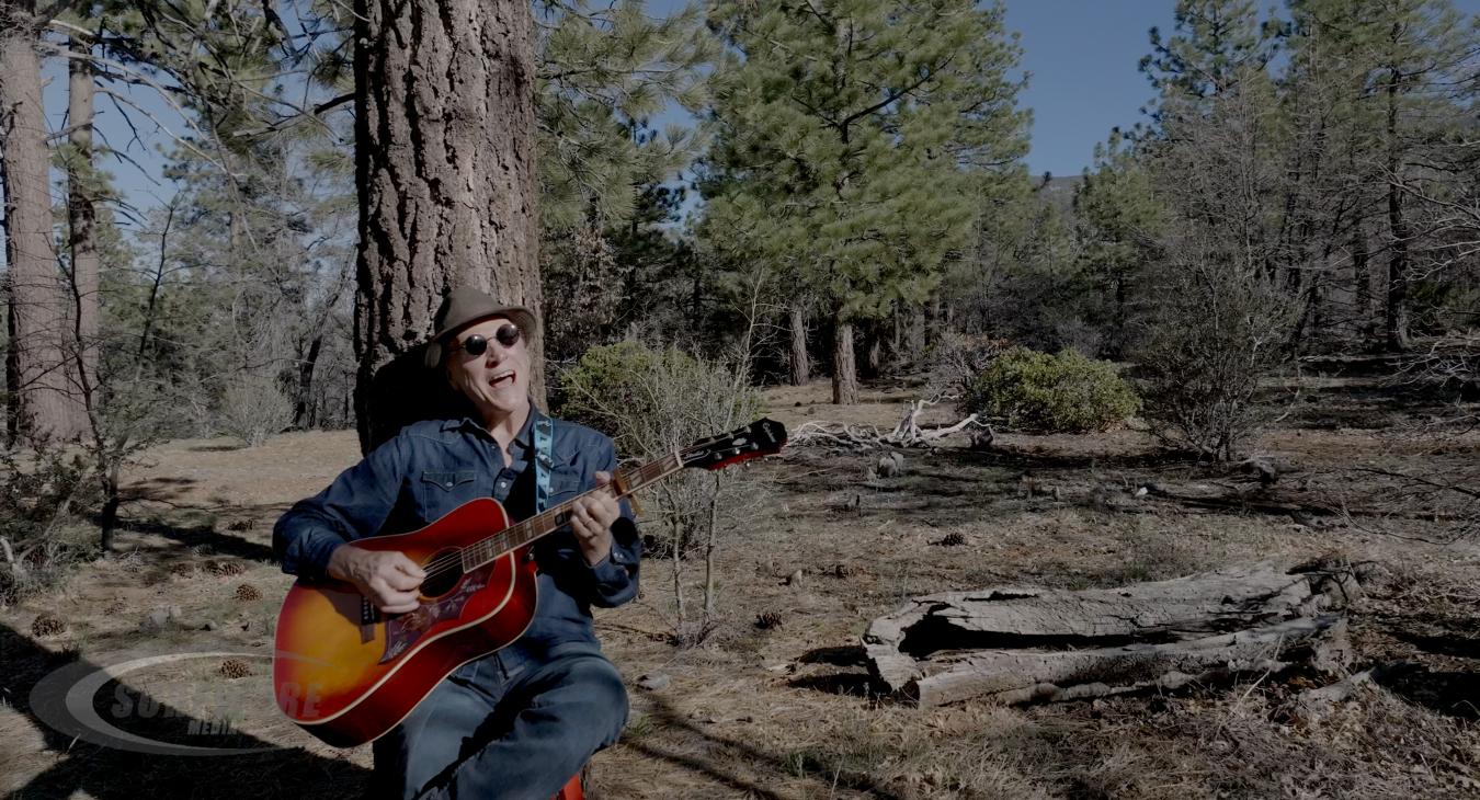 Man Guitar Forest